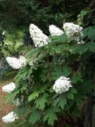 Top Saint-Laurent-de-Médoc