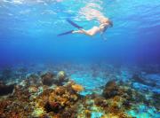 Top Gili Trawangan