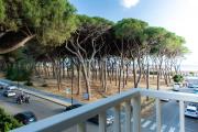 Top Follonica