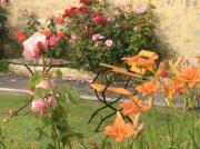 Top Audouville-la-Hubert