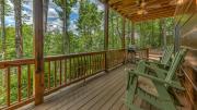 Top Ellijay