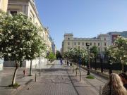 Top Athens Top Athens