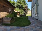 Top Linden Top Linden