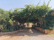 Top Novigrad Istria