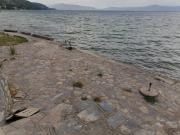 Top Struga