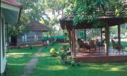 Top Alleppey