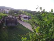 Top Obzor