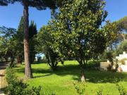 Top Misano Adriatico