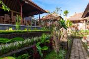 Top Bedugul