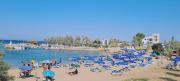 Top Paralimni