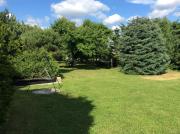 Top Lekarty Top Lekarty