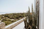 Top Paternoster