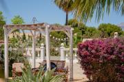 Top Albir