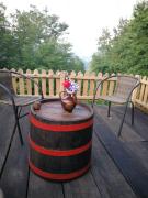 Stari dud Beserovina