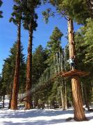 Top Tahoe City