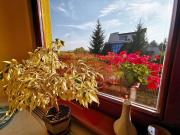 Top Turčianske Teplice