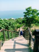 Top Odesa