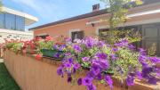 Top Novigrad Istria