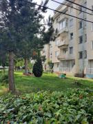 Top Ohrid