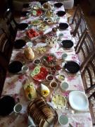 Top Białowieża Top Białowieża