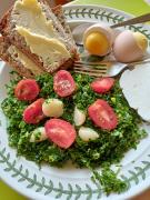 Top D膮br贸wka Tuchowska Top D膮br贸wka Tuchowska