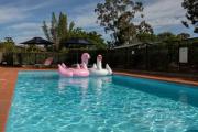 Top Bankstown