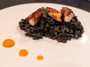 Top Torres del Paine