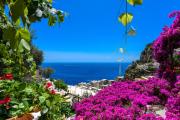 Top Positano