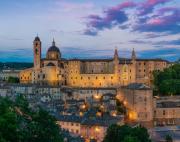 Top Urbino