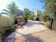 Top Koroni Top Koroni