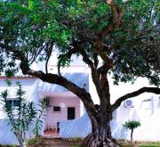 Amazing T.M. Villa in Nossa Senhora da Rocha