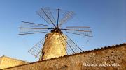 Top Trapani