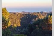 Top Casares