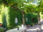 Saxonis Houses & Saxonis Villa Saxonis Houses & Saxonis Villa