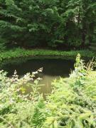 Top Odorheiu Secuiesc