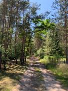 Bungalow im Wald