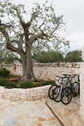 Top Alberobello