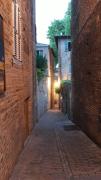 Top Urbino
