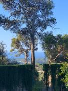 Top Sant Cebrià de Vallalta