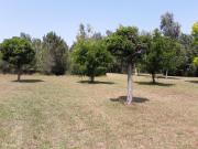 Top Saint-Philbert-du-Peuple