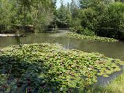 Top Saint-Philbert-du-Peuple