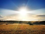 Top Laugharne Top Laugharne