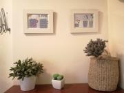 Top Sant Feliu de Guixols