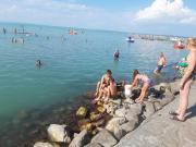 Top Siófok