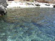 Top San Felice Circeo