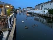Top Bellmore