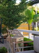 Top Nikiana Top Nikiana