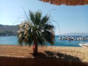 Top Bodrum City
