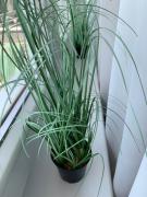 Top Hajdúszoboszló