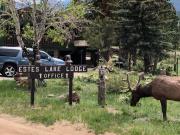 Top Estes Park